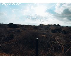 Parcela de terreno en venta con vistas al mar en Guardamar del Segura, Alicante, Costa Blanca