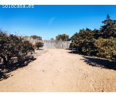 Fantástica casa con terreno y preciosas vistas al mar a pie de playa en Guardamar del Segura