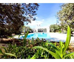 Impresionante chalet independiente en Partida El Boch, junto a las localidades de Elche y Crevillent