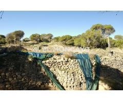 Fantástica parcela urbana para construir en el centro de Rojales, Alicante, Costa Blanca