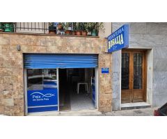 Fantástica oportunidad de negocio en la ciudad de Elche, Alicante, Costa Blanca