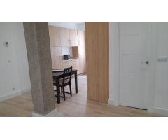 ALQUILER VIVIENDA JULIO Y AGOSTO EN BASURTO