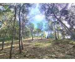 Parcela de 873 m2 en la Fase A de Finca Terol