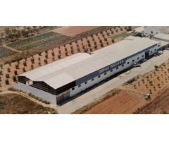 Nave industrial en Venta en Alcalà de Xivert, Castellón