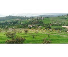 Terreno en venta en Estepona | CABANILLAS REAL ESTATE