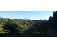 Terreno en venta en Estepona | CABANILLAS REAL ESTATE