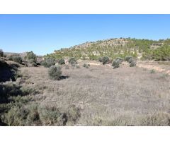 Se vende Terreno próximo a la Carretera de Castelserás - Alcañiz (Teruel) - Ref. TR02042023
