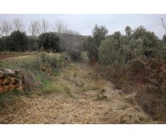 SE VENDEN  Parcelas de regadío en Paraje Val de Hueso - Alcañiz (Teruel). Referencia TR01132023
