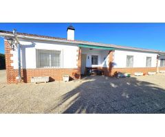 Encantadora finca rústica con olivar y urbana con vivienda en perfecto estado en Villaviciosa!