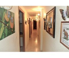 Piso en Venta en Benidorm, Alicante