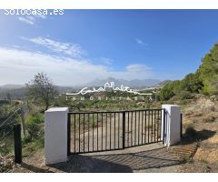 En venta terreno rústico con frutales y una Casita en Callosa den Sarrià