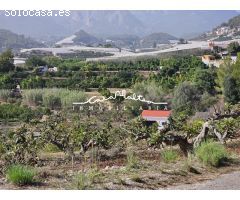 En venta terreno rústico con frutales y una Casita en Callosa den Sarrià