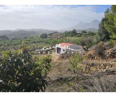 En venta terreno rústico con frutales y una Casita en Callosa den Sarrià