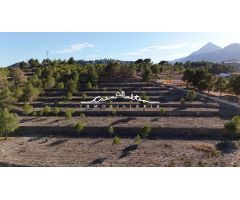 Se vende finca rústica con proyecto y licencia de construcción