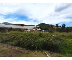 Se vende casita de campo con terreno para reformar, Callosa den Sarria