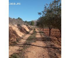 Casa con terreno en Venta en Torremanzanas, Alicante