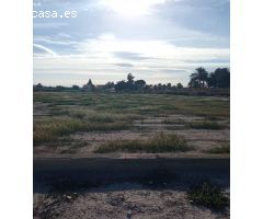 Parcela rústica ubicada a solo 12 km del centro de Alicante ciudad