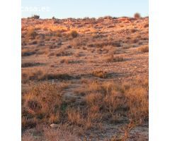 Solar en Venta en Mutxamel, Alicante