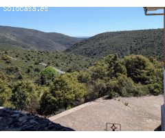 Chalet en Venta en Torremocha de Jarama, Madrid