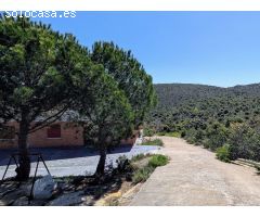 Chalet en Venta en Torremocha de Jarama, Madrid