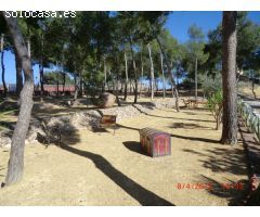 MAGNÍFICA FINCA DE 90.000MTS EN AGOST