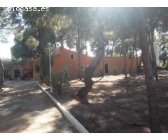 MAGNÍFICA FINCA DE 90.000MTS EN AGOST