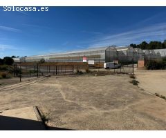 Excelente explotación agricola en venta.
