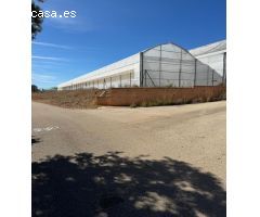 Excelente explotación agricola en venta.