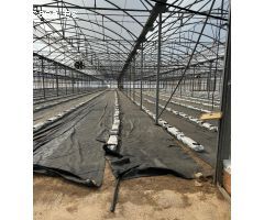 Excelente explotación agricola en venta.