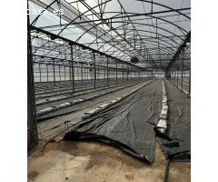 Excelente explotación agricola en venta.