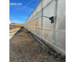 Excelente explotación agricola en venta.