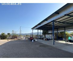 TERRENO AGRARIO EN VENTA EN EL PALMAR (MURCIA)