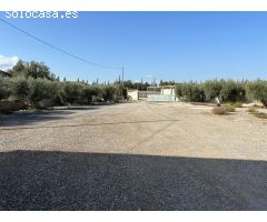 TERRENO AGRARIO EN VENTA EN EL PALMAR (MURCIA)