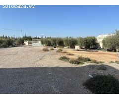 TERRENO AGRARIO EN VENTA EN EL PALMAR (MURCIA)
