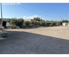 TERRENO AGRARIO EN VENTA EN EL PALMAR (MURCIA)