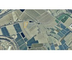 PARCELA RÚSTICA EN VENTA EN MERMEJO, TOTANA, MURCIA - 4600M²