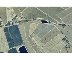 PARCELA RÚSTICA EN VENTA EN MERMEJO, TOTANA, MURCIA - 4600M²