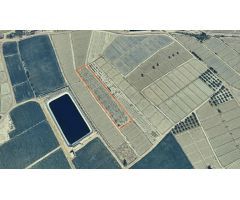 PARCELA RÚSTICA EN VENTA EN MERMEJO, TOTANA, MURCIA - 5810 M² ?????