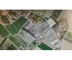 FINCA RUSTICA EN MONFORTE DEL CID