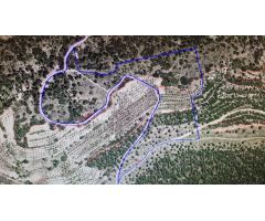 FINCA RUSTICA EN BIAR