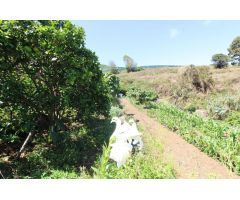¡Exuberante finca en Tierra del Tigro! Espacio sereno de 2198 m2 con casita y huertas productivas.