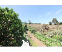 ¡Exuberante finca en Tierra del Tigro! Espacio sereno de 2198 m2 con casita y huertas productivas.