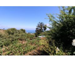 ¡Exuberante finca en Tierra del Tigro! Espacio sereno de 2198 m2 con casita y huertas productivas.