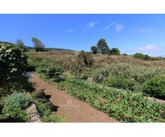 ¡Exuberante finca en Tierra del Tigro! Espacio sereno de 2198 m2 con casita y huertas productivas.