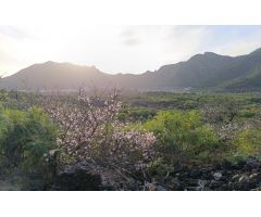 ¡Oportunidad única! Terreno rústico de 2175m2  en venta en Valle de Arriba, Santiago del Teide