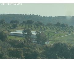 CASABANCO   VENDE FINCA EN ALCARACEJOS
