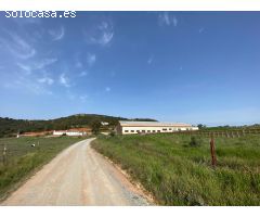 CASABANCO   VENDE FINCA EN ALCARACEJOS