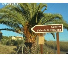 CASABANCO VENDE FINCA RÚSTICA EN CAMINO VALLE DE LA HIGUERA (MÉRIDA).