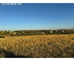 CASABANCO VENDE FINCA RÚSTICA EN CAMINO VALLE DE LA HIGUERA (MÉRIDA).