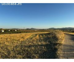 CASABANCO VENDE FINCA RÚSTICA EN CAMINO VALLE DE LA HIGUERA (MÉRIDA).